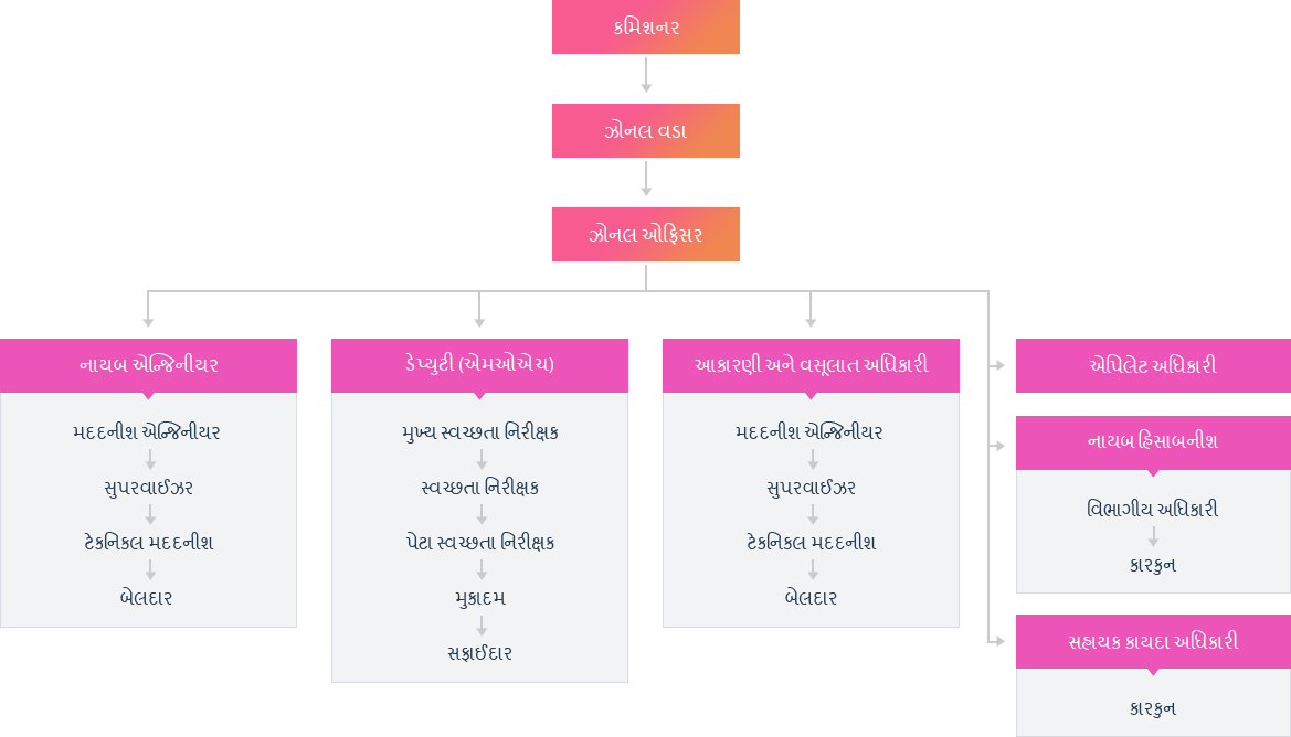 Organization Structure